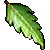 ӡ���Ҷ